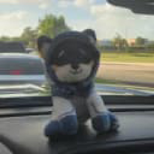 Luna Shiba
