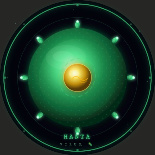 Hanta Virus