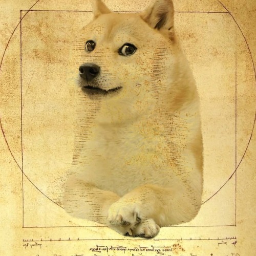 Dogevinci