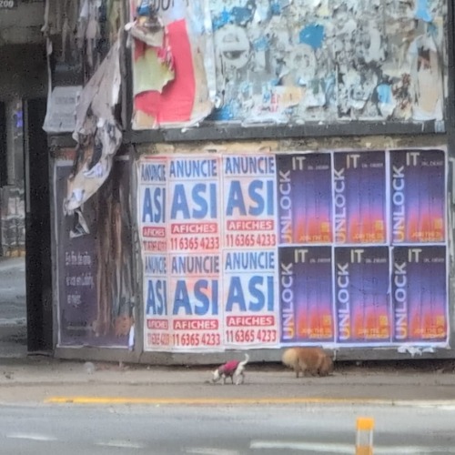 ASI