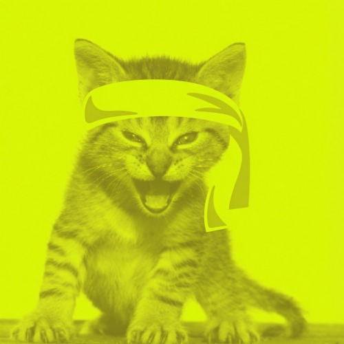 Roaring Kitty