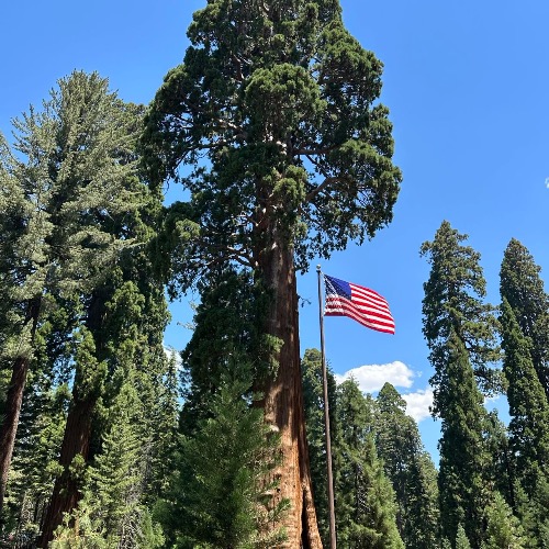 Independence
