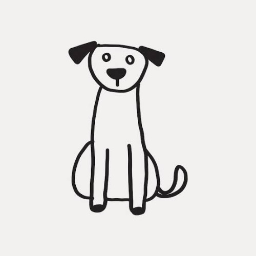 the doge coin 