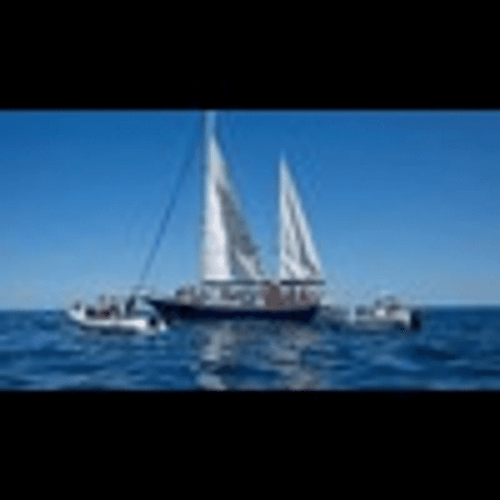 Freedom Flotilla logo