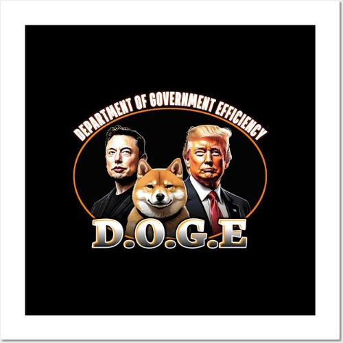 Department Of Government Efficiency