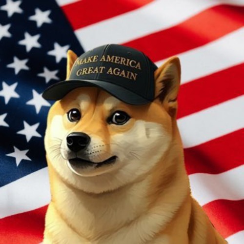 Doge Coin American