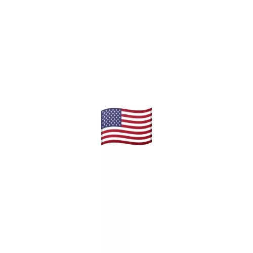 🇺🇸