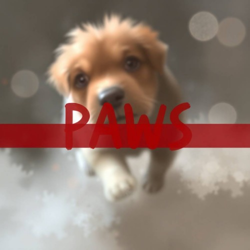 NO NEED PAWS logo