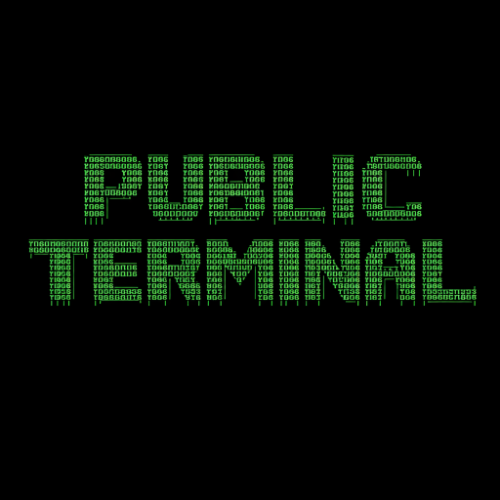 PUBLIC TERMINAL