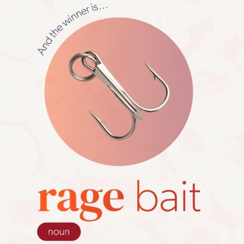 RAGE BAIT - WORD OF THE YEAR 2025