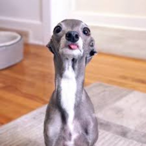 TIKA