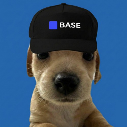 DogsHat