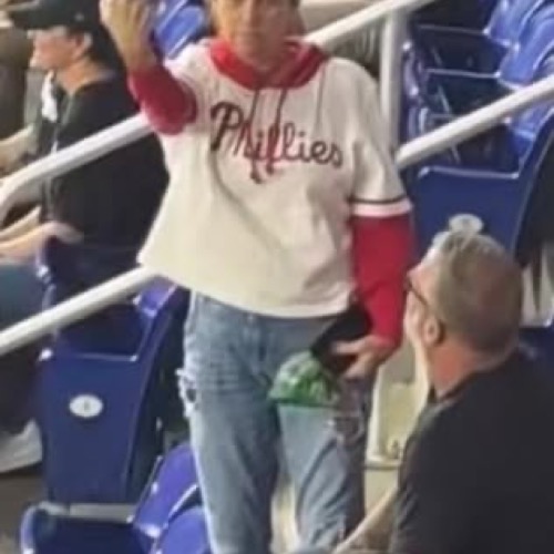 Baseball Karen 