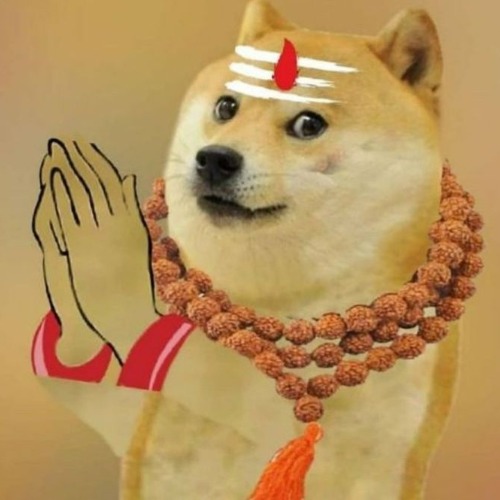 Doge India
