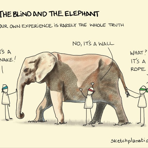 The blind and the elephant 