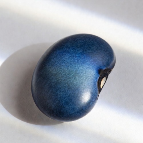 Chestnut Based