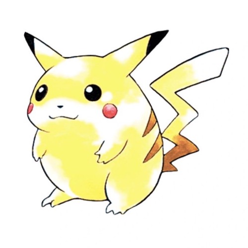 Chonky pikachu