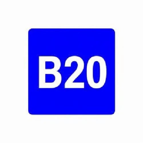 B20