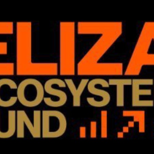 ElizaEcoFund