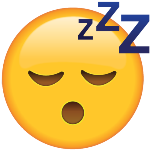 SLEEPER INU