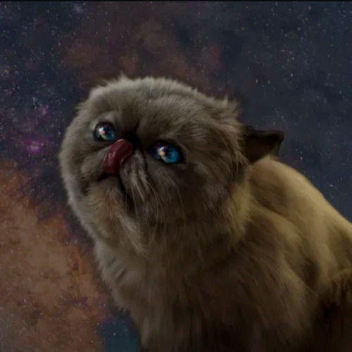 Cosmic Cat