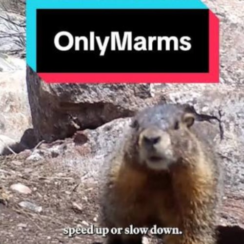 OnlyMarms