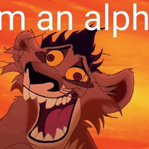 DanRishElonNikitaHarryPotterObama