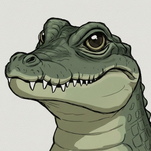 Grokodile