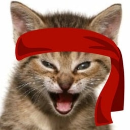 Red Kitten Crew