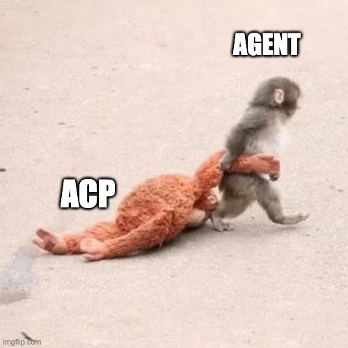 ACP Agent