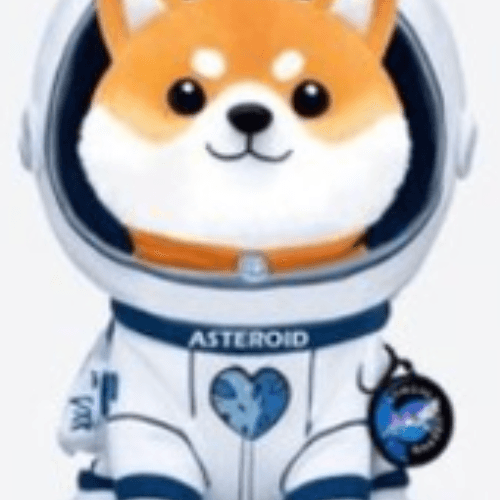 Shiba Asteroid