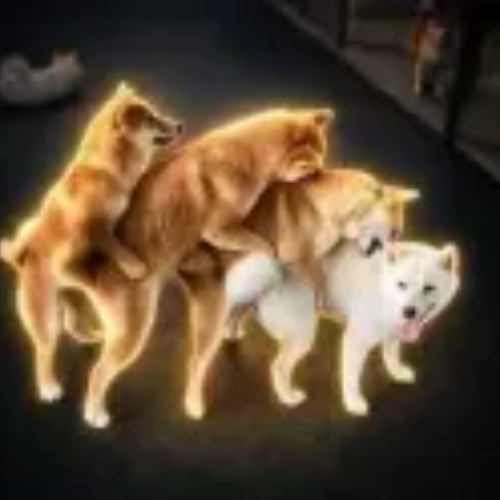 FOUR INU